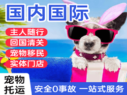 奔牛航空物流国际宠物托运 【国